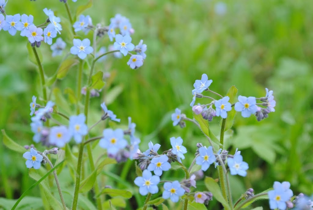 Autors: Līga Patmalniece