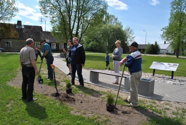 LAI ZAĻO! Pieredzējušu speciālistu vadībā Pļaviņu pašvaldības pārstāvji iestādīja tūjas un vītolus. 