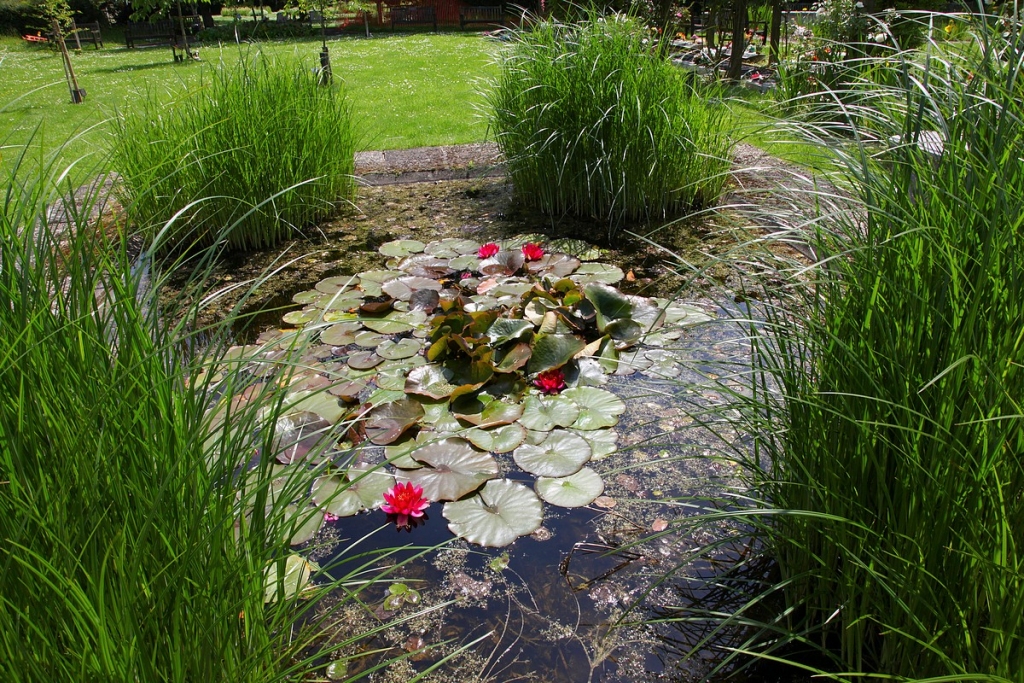 Autors: Žanna Žaka