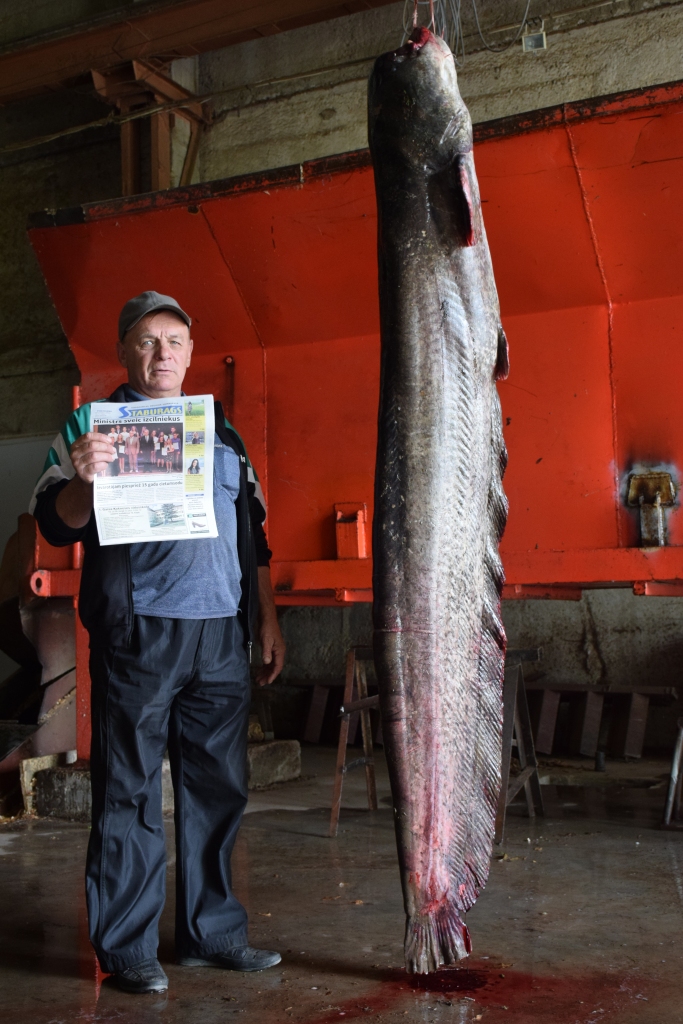 Ja Jāņa Rituma izvilktajam samam blakus nostātos basketbolists Kristaps Porziņģis, viņi būtu viena auguma. Pārējiem uz lielā loma plato muti jāskatās ar krietni atliektu galvu.

Autors: Imants Kaziļuns