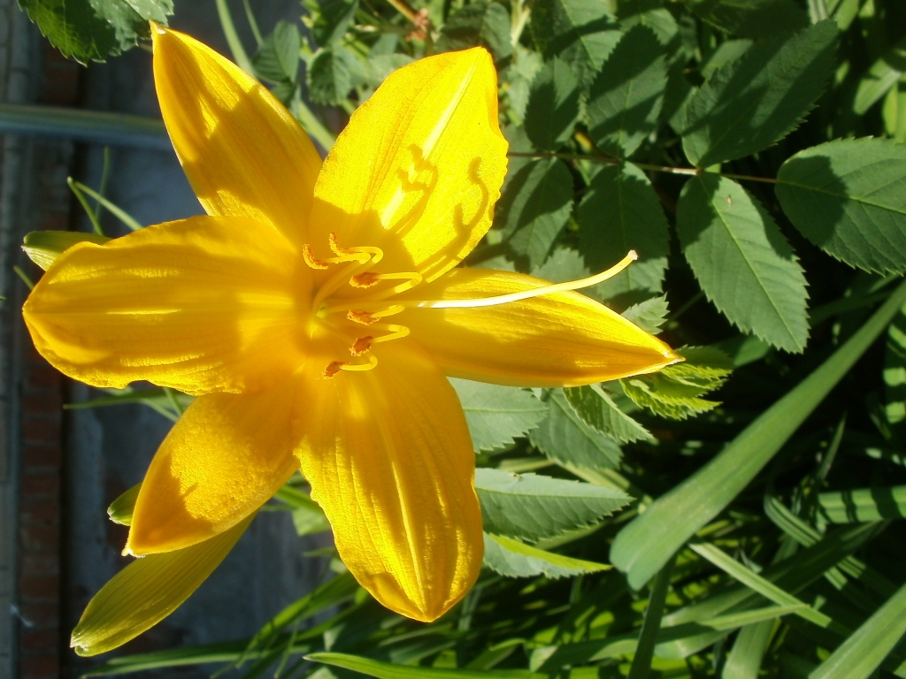 Autors: Inārs Dreijers