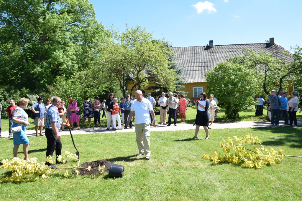 Vēsturi iemūžinās kļavas. Iezīmējot pagasta unikālo vēsturi, svinīgajā pasākumā kopā ar viesiem iestādīja piecas kļavas, kas augs Iršu muižas klēts pagalmā, līdzās vācu kolonijas pagastnama mājām “Kļavas”.                                                                                                                   
Autors: Imants Kaziļuns