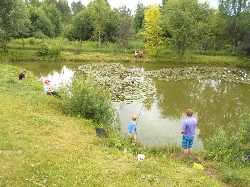 Autors: www.plavinunovads.lv