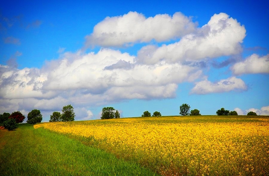 Autors: Žanna Žaka