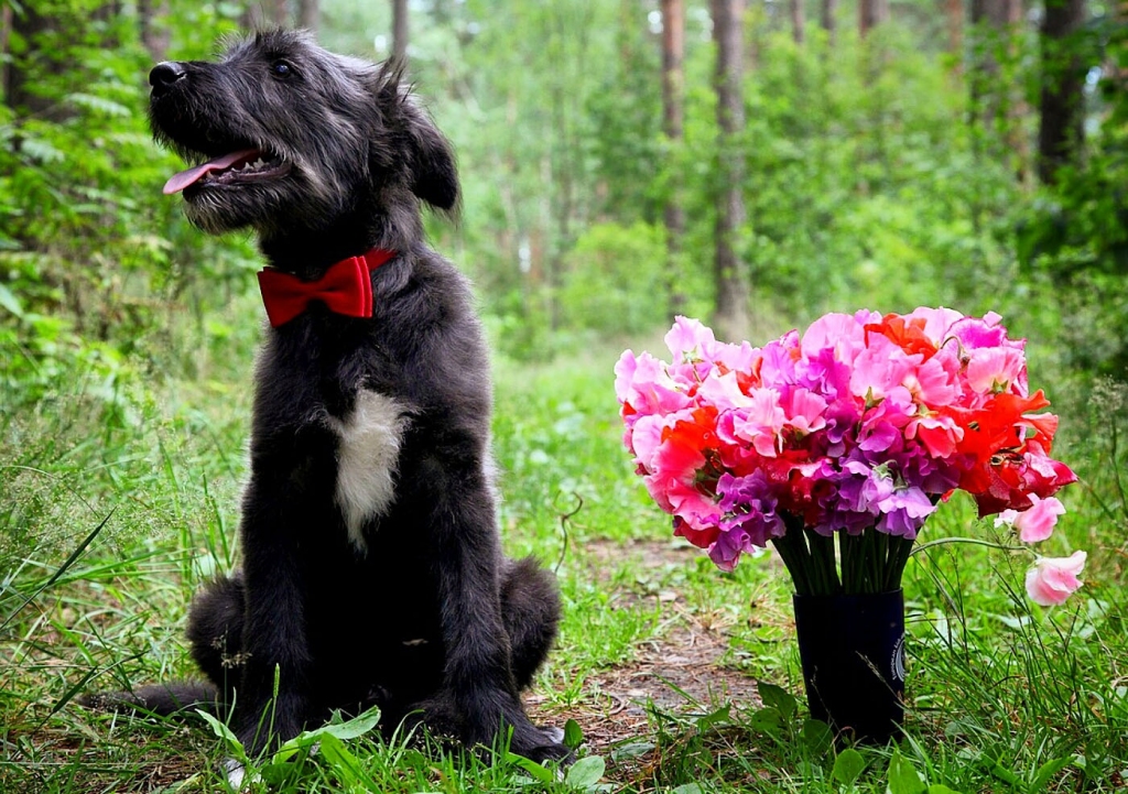 Šim attēlam parakstu gaidīsim līdz 31. jūlijam.
Autors: Žanna Žaka
