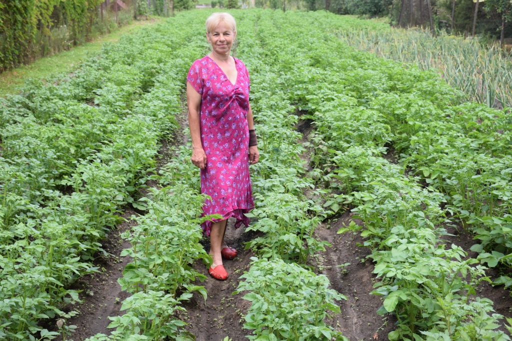 Sakņudārzā. Mājas saimniece Zoja Grigorjeva. Dārziņā un siltumnīcā izaudzē visu nepieciešamo. 
Autors: Līga Patmalniece