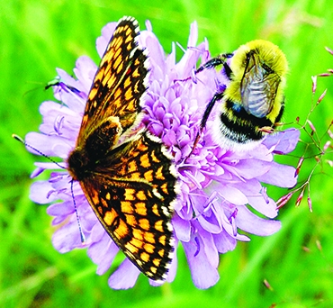 Autors: Vineta Cimdiņa