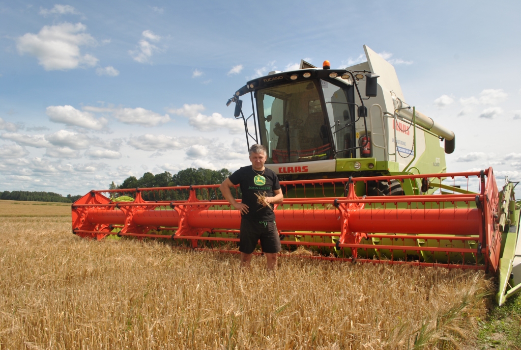 PĻAUJA SĀKUSIES. Zemnieku saimniecības “Silarozes” īpašnieks Aigars Stuglis pats stūrē kombainu un atzīst, ka zemniekam pļauja ir ne vien spraigs un grūts, bet arī skaists darba laiks. 
Autors: Elita Brovacka
