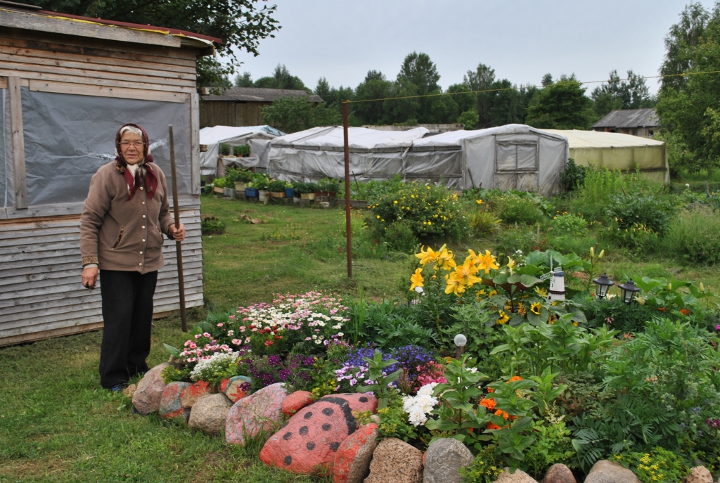 PALĪDZ MAZMEITA. Ap daudzdzīvokļu māju “Rīteri 8” Rīteru centrā sakopts katrs stūrītis. Tur ir gan raibas puķu dobes, gan dažādi dekoratīvi elementi ne tikai pagalmā, bet arī pie ēkas sienām. Cenšas katrs. Arī Intai Zelčai (attēlā) patīk darboties dārzā. Dobi ar krāsainajiem akmeņiem palīdzējusi izveidot mazmeita. 
Autors: Sandra Pumpure