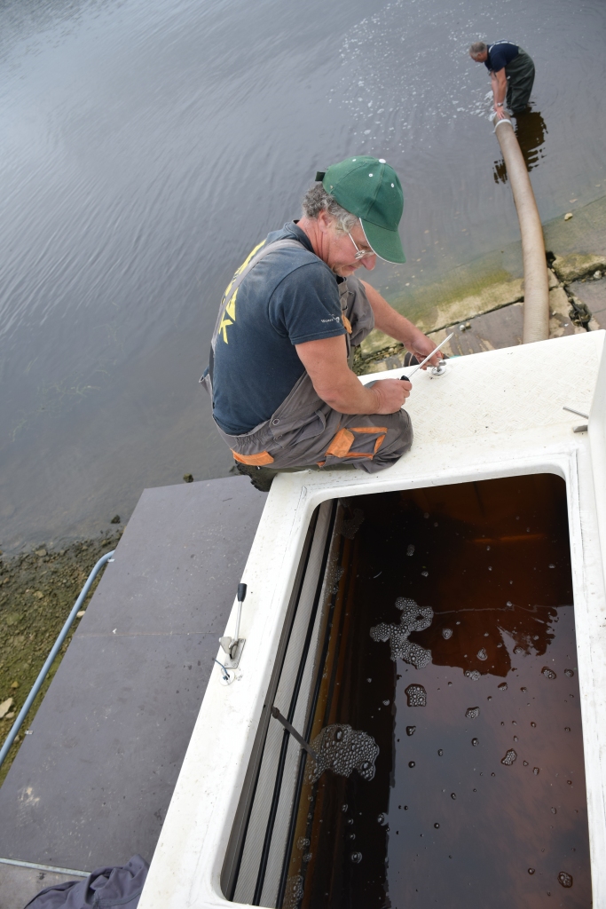 Jaunās mājas. Vīri no zivju audzētavas “Tome” Daugavā iepretī Likteņdārzam ielaiž pēdējo zandartu bariņu.
Autors: Imants Kaziļuns