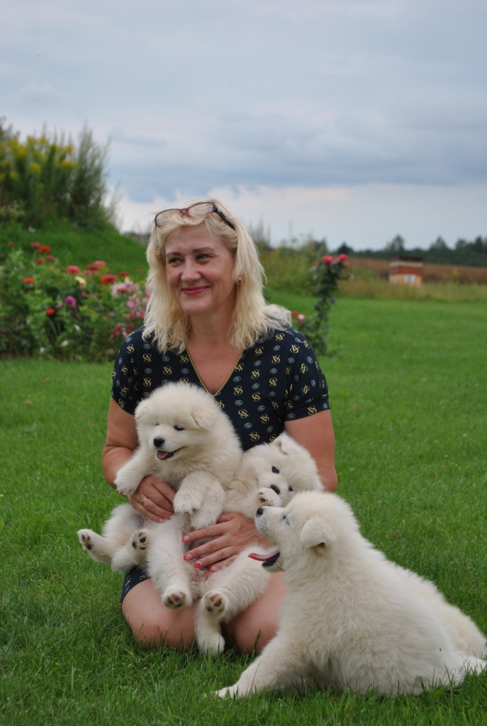 KUPLA SAIME. Baltie kucēni jau pēc balss pazīst savu saimnieci Izoldi. Kamēr raksts tapa, pāris kucēni jau devās uz jaunajām mājām.