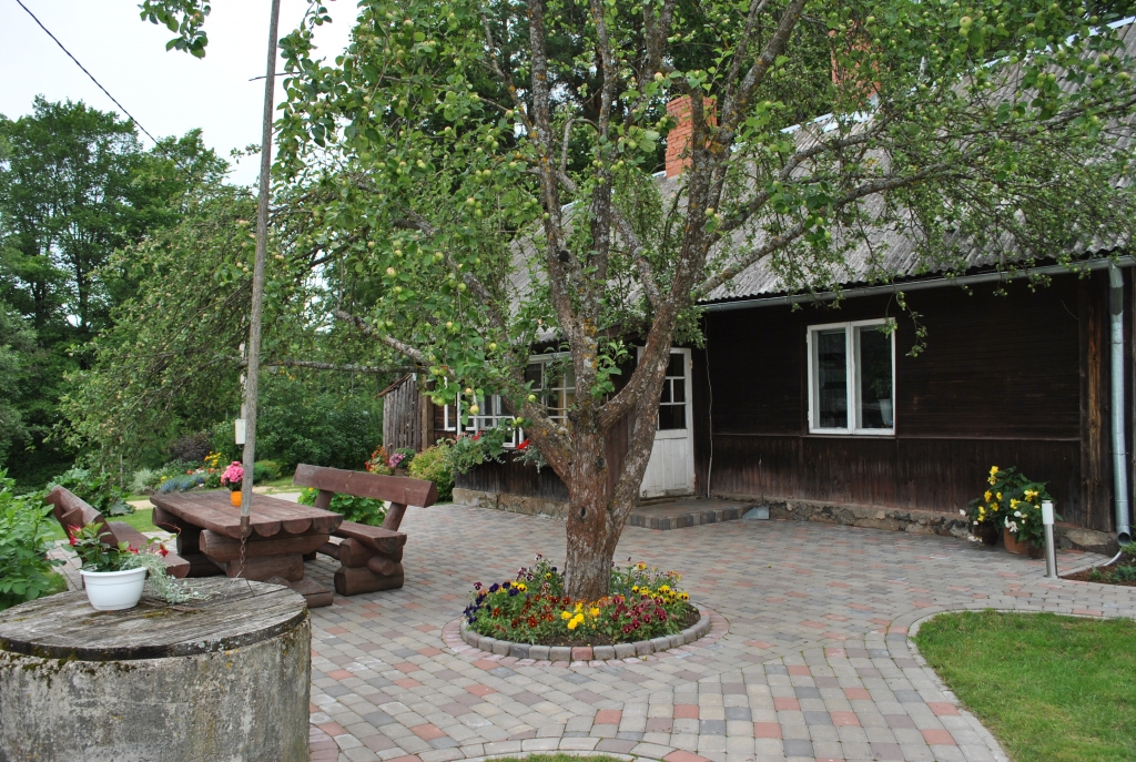 TRĪS VIENĀ. Šai ābelei ir jau ilgs mūžs, un tajā aug triju šķirņu āboli. 
Autors: Sandra Pumpure