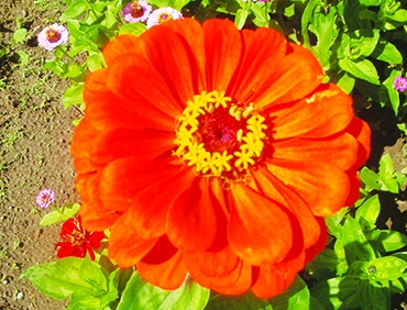 Autors: Inārs Dreijers