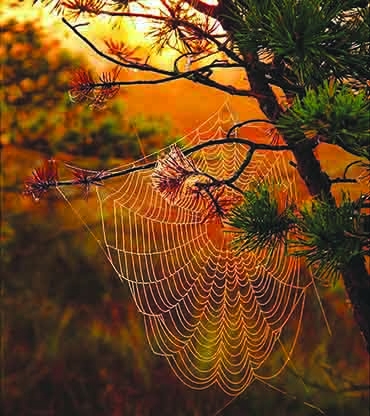 Autors: Žanna Žaka