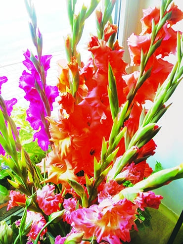 Autors: Inārs Dreijers