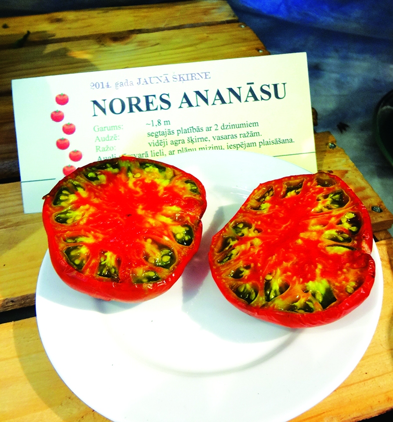 Kārdinoši. ‘Nores ananāsu’ — tāds nosaukums dots 2014. gadā radītai šķirnei.  
Autors: Ināra Sudare