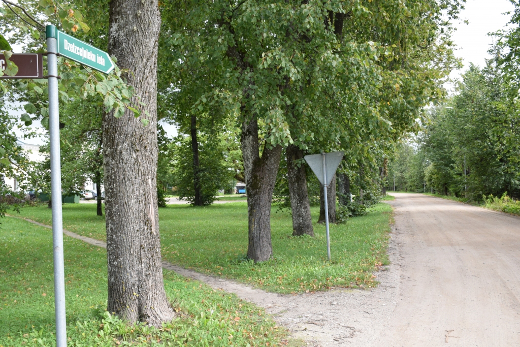 Nepilns kilometrs. Skrīveru novada domes deputāti ir vienojušies, ka ik gadu novadā sakārtos vienu ielu. Iespējams, ka jau šogad Dzelzceļnieku iela piedzīvos pārbūvi. 
Autors: Inga Patmalniece