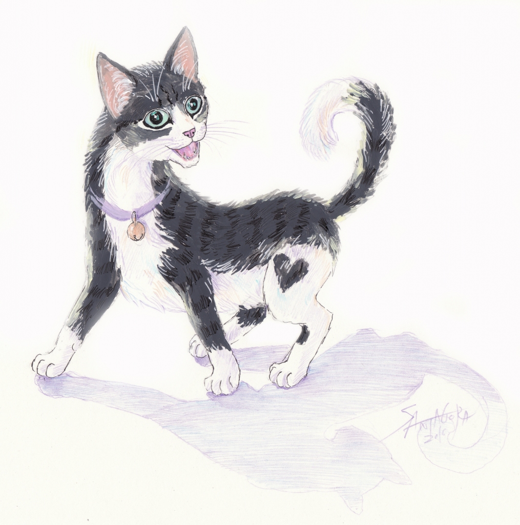 Zīmējums: Santagora