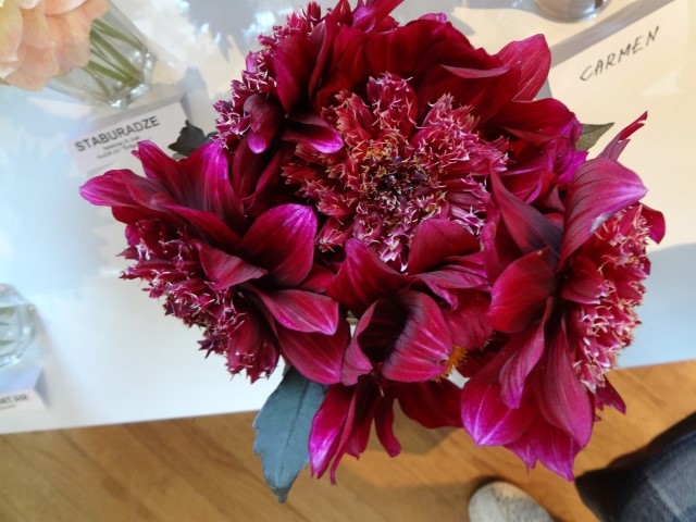 MĀNĪGS PRIEKŠSTATS. Tā nav peonija, bet gan dālija ‘Beibe’ (selekcionāre R. Zaļā, 2012.).   

Autors: Ināra Sudare