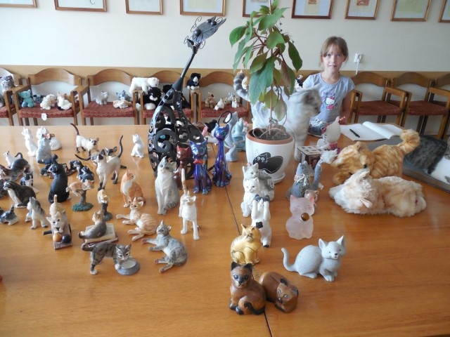 KAS VAR BŪT LABĀKS PAR TO — visur kaķi!
Autors: Sandra Pumpure