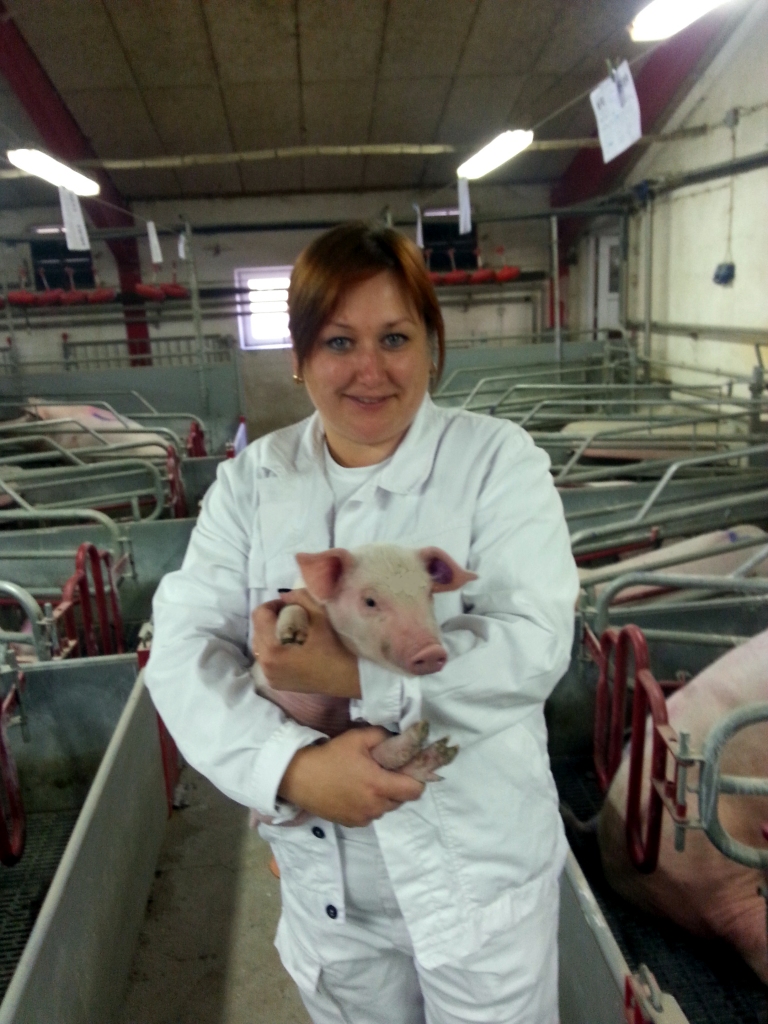 Viss savējais — sākot no sivēna, kurš piedzimis kādā no SIA “Miķelāni Bekons” kompleksiem.                                                     
Autors: no uzņēmuma 