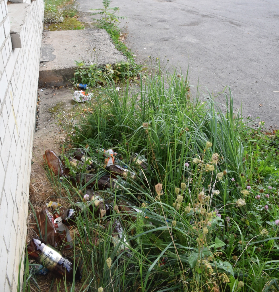 Kas to visu savāks? Šis jautājums pagaidām paliek bez atbildes. 

Autors: Imants Kaziļuns