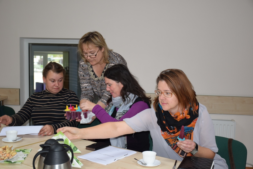 Apmācību dalībniecēm Inesei Bluķei (no labās), Ivetai Braumanei, uzņēmējdarbības konsultantei Valentīnai Bečai un topošajai uzņēmējai Mudītei Valainaitei bija iespēja nogaršot 2014. gada biznesa ideju reģionālā konkursa “Laukiem būt” uzvarētājas Asnātes Sproģes gatavoto kaņepju piena saldējumu.
Autors: Guna Skaistkalne