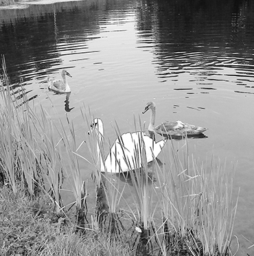 Autors: Vineta Cimdiņa