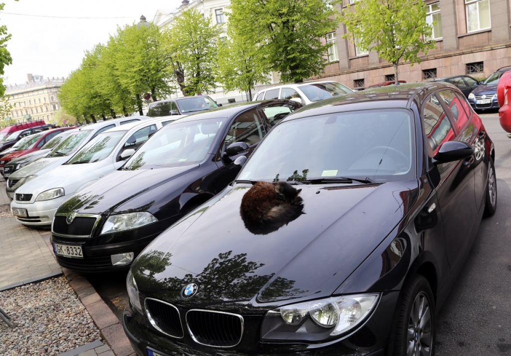 Aluksniesiem.lv raksta attēla aizvietotājs