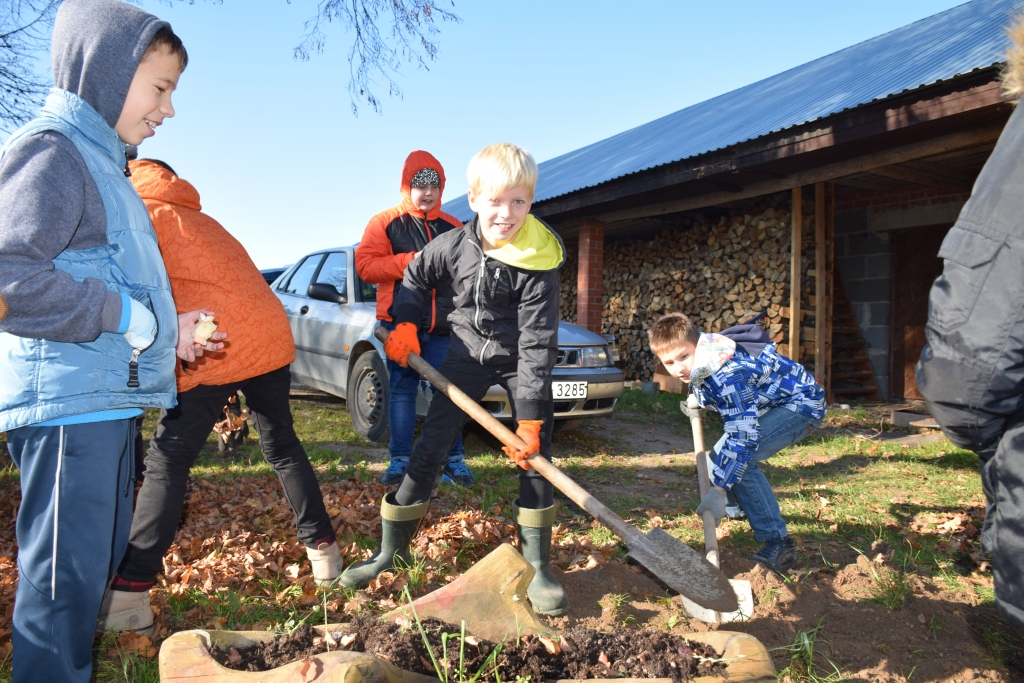 Labie darbi. Aizkraukles novada vidusskolas 4.a klase palīdz bioloģiskajā zemnieku saimniecībā “Janavas”.
Autors: Inga Patmalniece