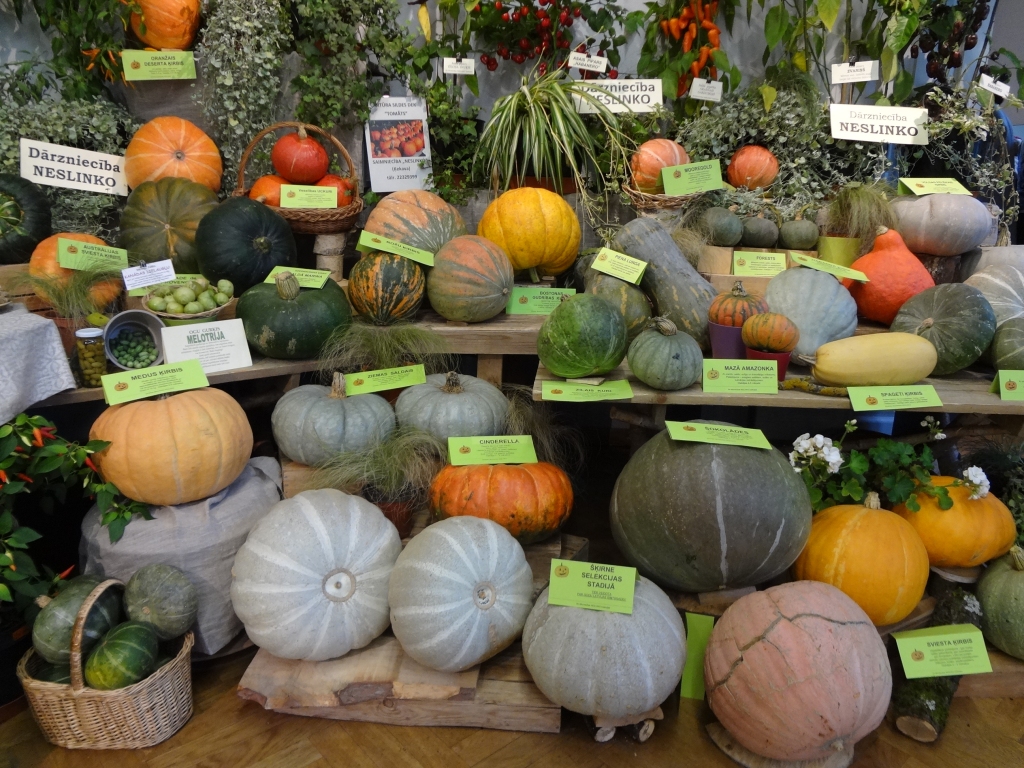 ĶIRBJU PARĀDE — lieli, mazi, apaļi, plakani. 