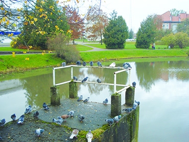 Autors: Silvija Karpoviča