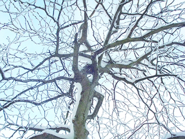 Autors: Silvija Karpoviča