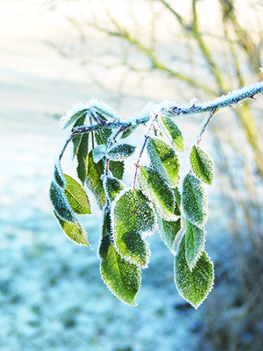 Autors: Solveiga Ivanova