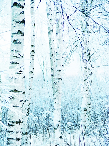 Autors: Solveiga Ivanova