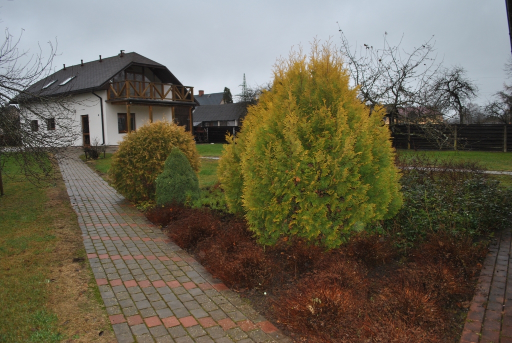 VISAUGSTĀKAIS VERTĒJUMS. Īpašums Lielajā ielā 54, Pļaviņās, piesaista ar savu eleganci. 