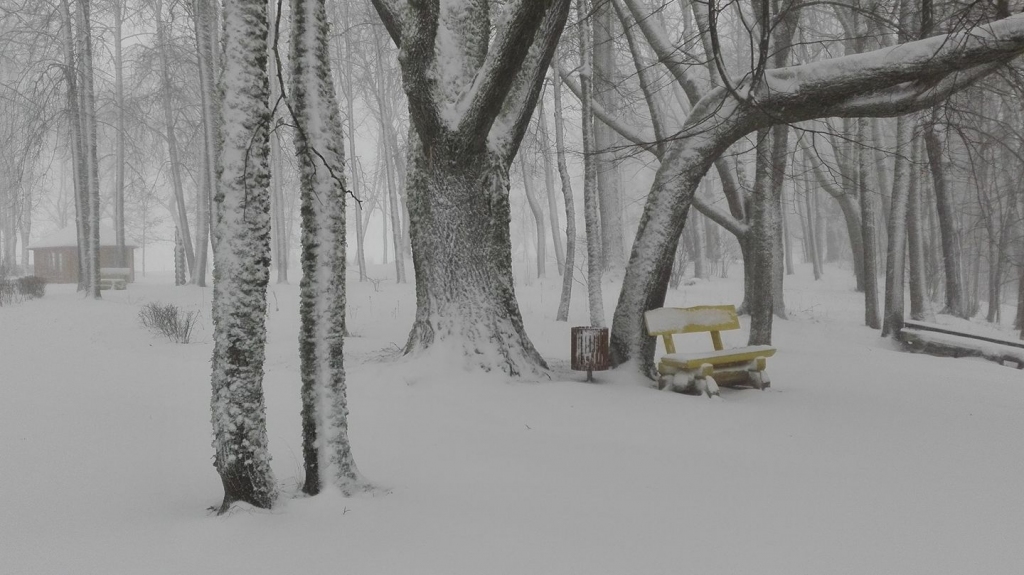 Vīgantes dabas parks. 

Autors: Anita Dāldere