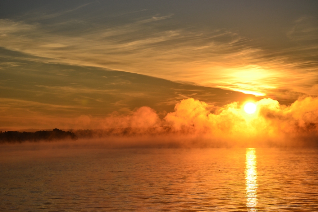 Dabas simfonija.	
Autors: Ramona Podvinska