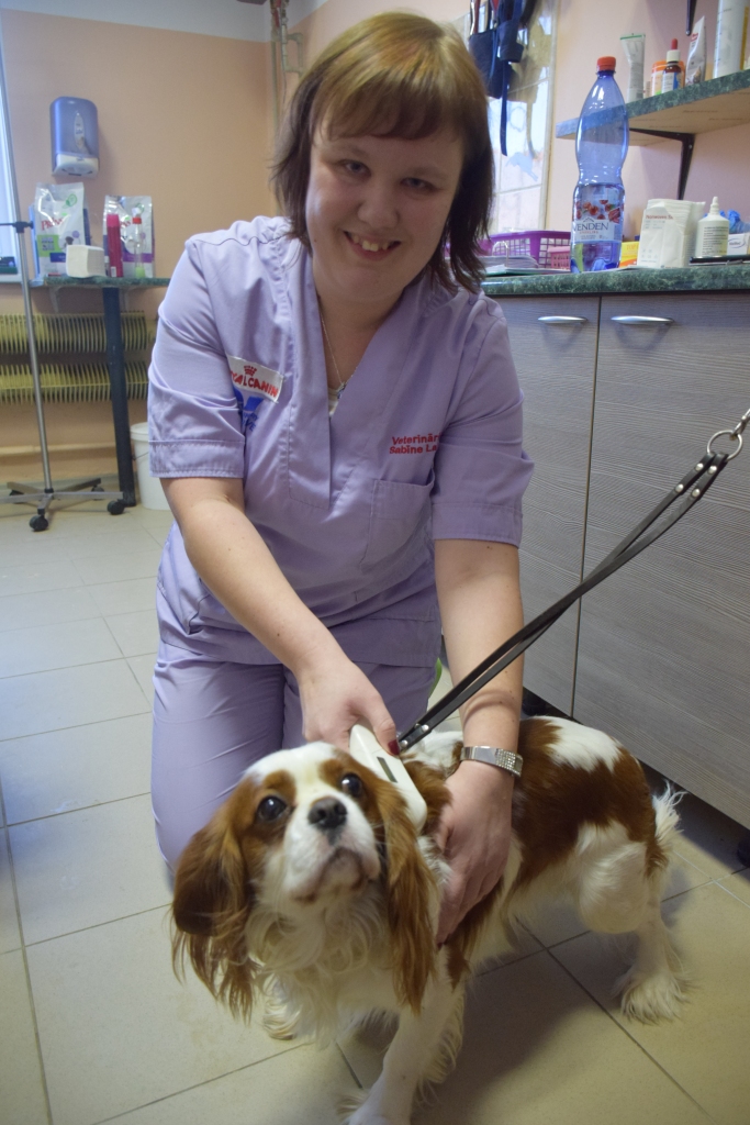 Uz pārbaudi. Veterinārārste Sabīne  Lazdiņa un mikročipētā aizkraukliete Dante.
Autors: Imants Kaziļuns