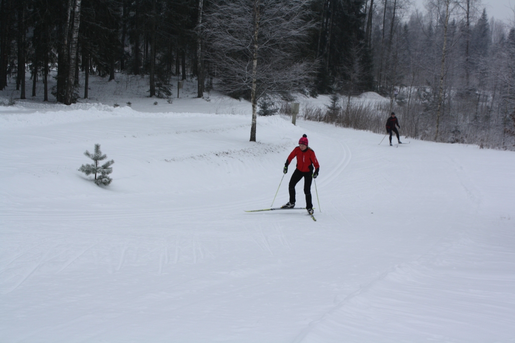 “Jauju” trasē. Piecu kilometru slēpojumu klasiskajā vai slidsolī var baudīt “Jauju” trasē Pļaviņu pusē. 
Autors: Sandra Pumpure