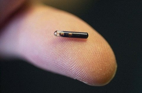 Kā rīsa grauds. Elektroniskais identifikators jeb mikročips.

Autors: no interneta