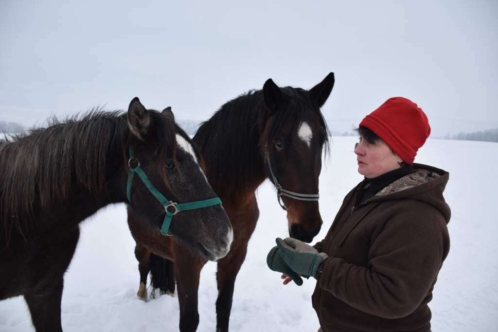 Sarmīte Strazdiņa:  Skrīveru pusē iespējams braukt kamanās, ragavās un jāt.	 
Autors: Imants Kaziļuns