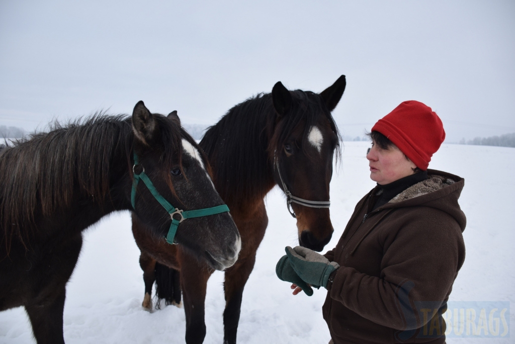 Sarmīte Strazdiņa:  Skrīveru pusē iespējams braukt kamanās, ragavās un jāt.	 
Autors: Imants Kaziļuns