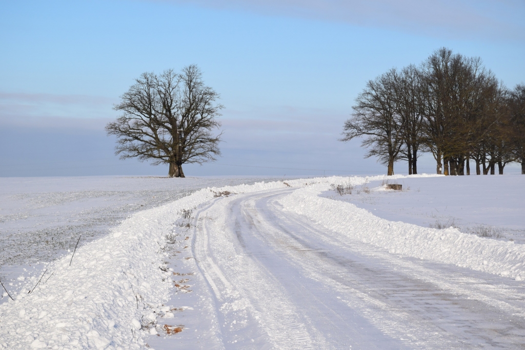 Autors: Līga Patmalniece
