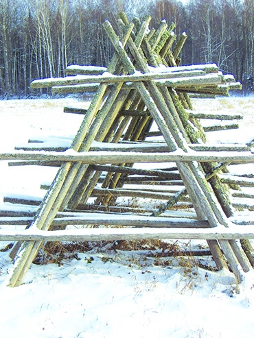 Autors: Inārs Dreijers