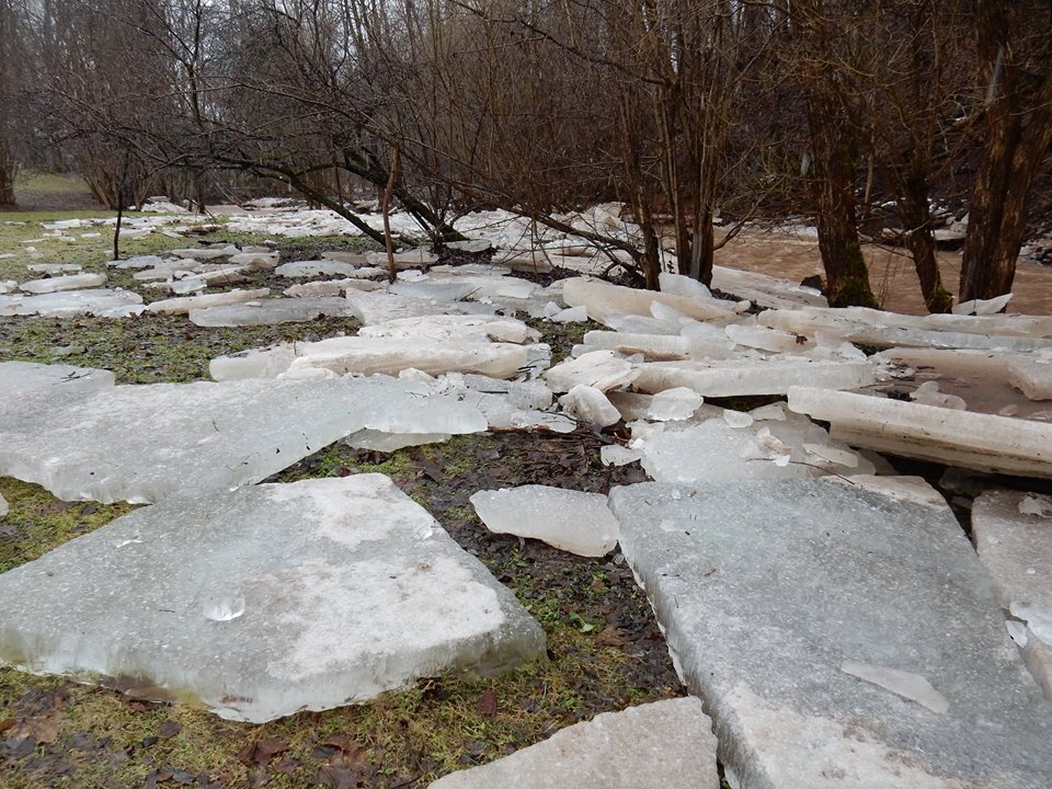Maizītes upē Skrīveros nedēļas sākumā sniega kušanas un nokrišņu dēļ strauji pacēlās ūdens līmenis. Sākumā ūdens plūdis pāri ledum, vēlāk to izkustinājis, daļu ledus gabalu izceļot krastā. Skats bijis iespaidīgs.
Autors: Daiga Martinsone