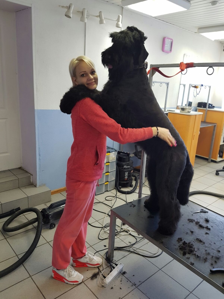 Pirmā suņu frizētava Aizkraukles reģionā atklāta Sērenē. Baiba Batraga ar krievu melno terjeru. Suns pēc friziera apmeklējuma ir laimīgs un pateicīgs.
Autors: no Baibas Batragas albuma