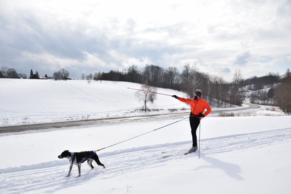 TRASE AR SKRĪVERU STĀSTIEM — tāda bijusi distanču slēpošanas trases veidošanas ideja, un tos labprāt iedzīvina arī pats trases veidotājs Kaspars Celmiņš. Slēpošanā ik reizi viņa pavadone ir sunīte Kira.