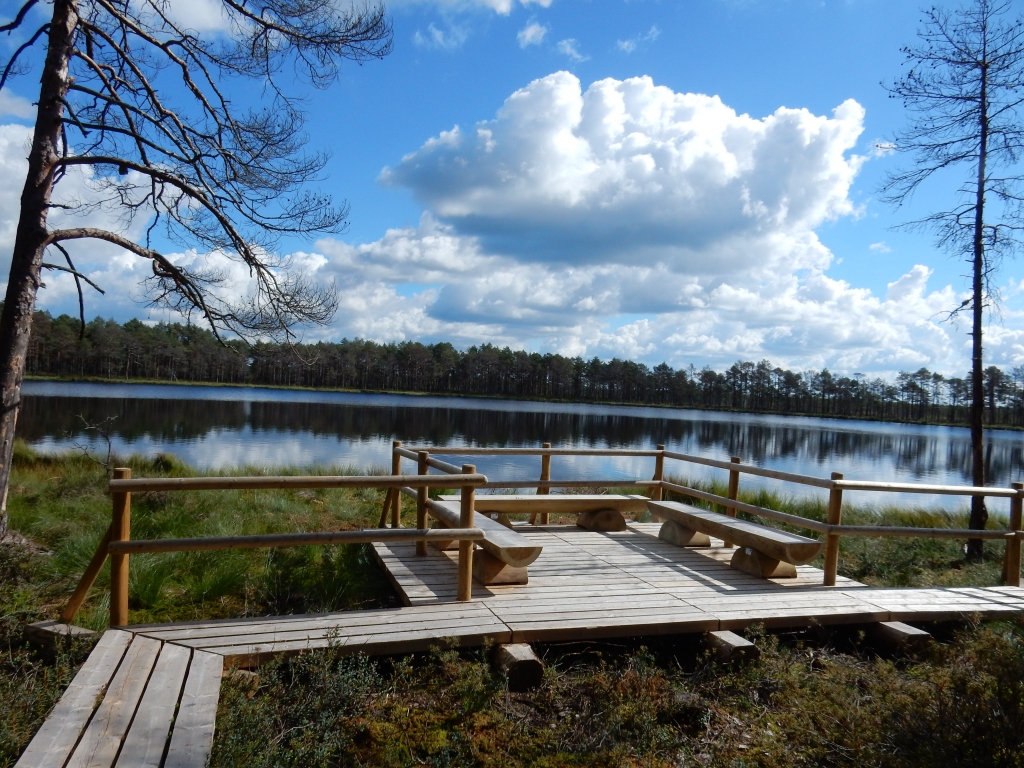 Jūgu purvs Daudzevā.
Autors: Daiga Martinsone