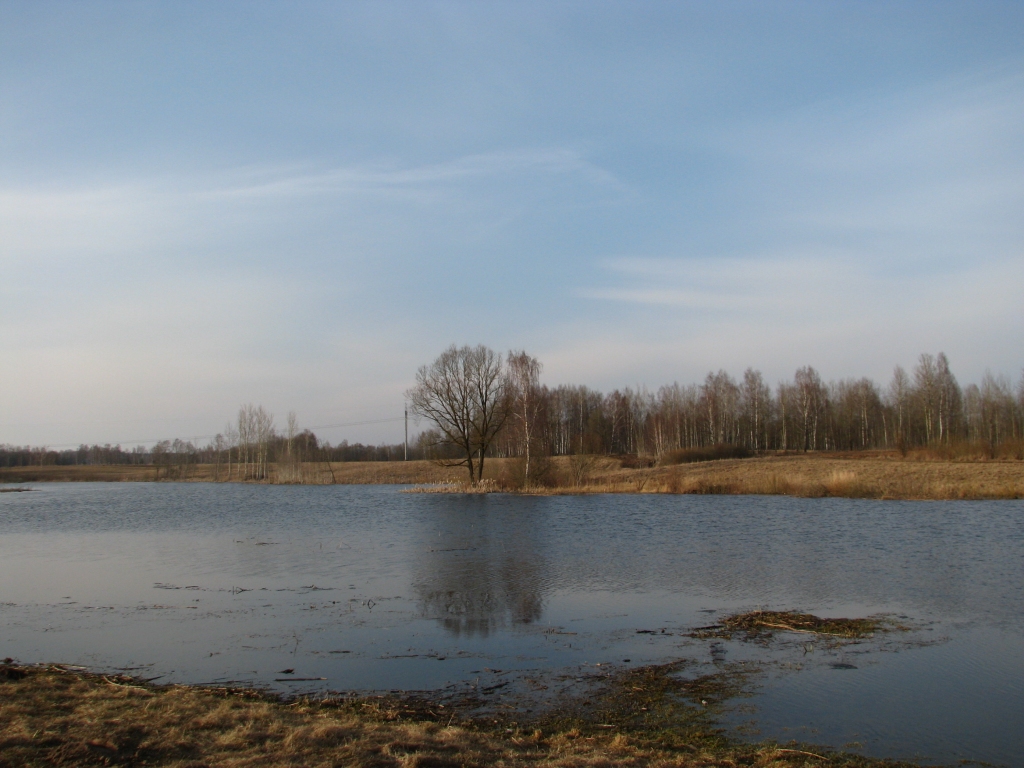 Autors: Solveiga Ivanova